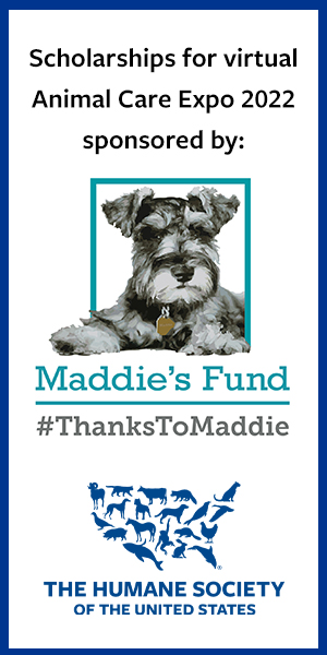 expo 2022 virtual scholarships sponsored by maddies fund and the hsus