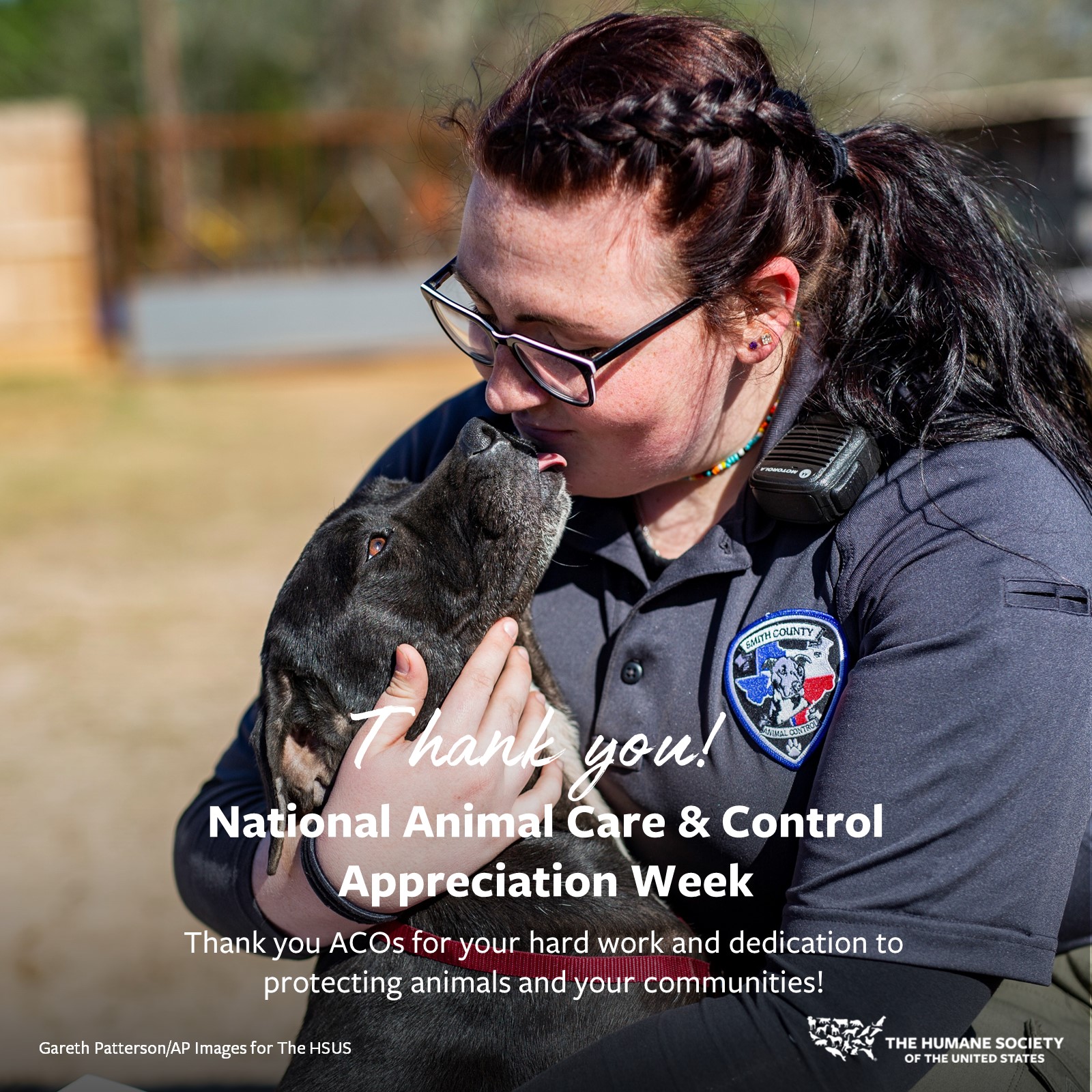 national animal care and control appreciation week