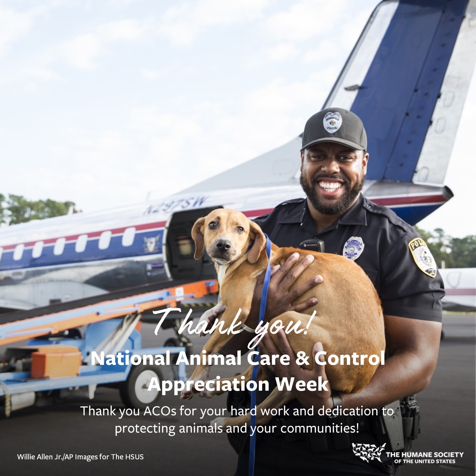 national animal care and control appreciation week