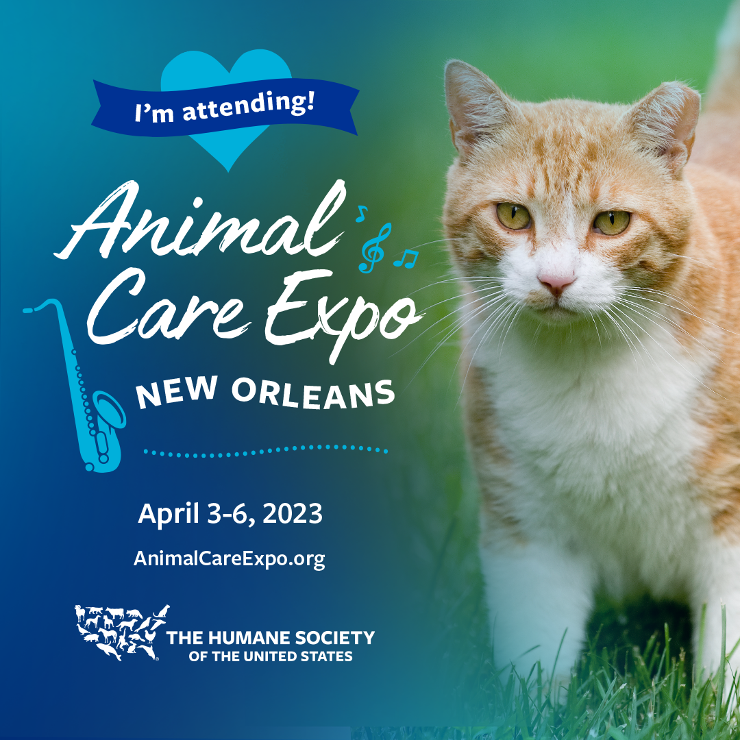 Best Animal Care Expo 2023 in the year 2023 Check it out now 