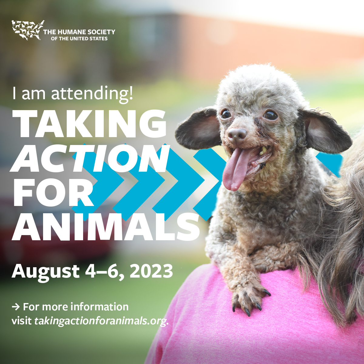 Taking Action for Animals sharegraphics | HumanePro by The Humane ...