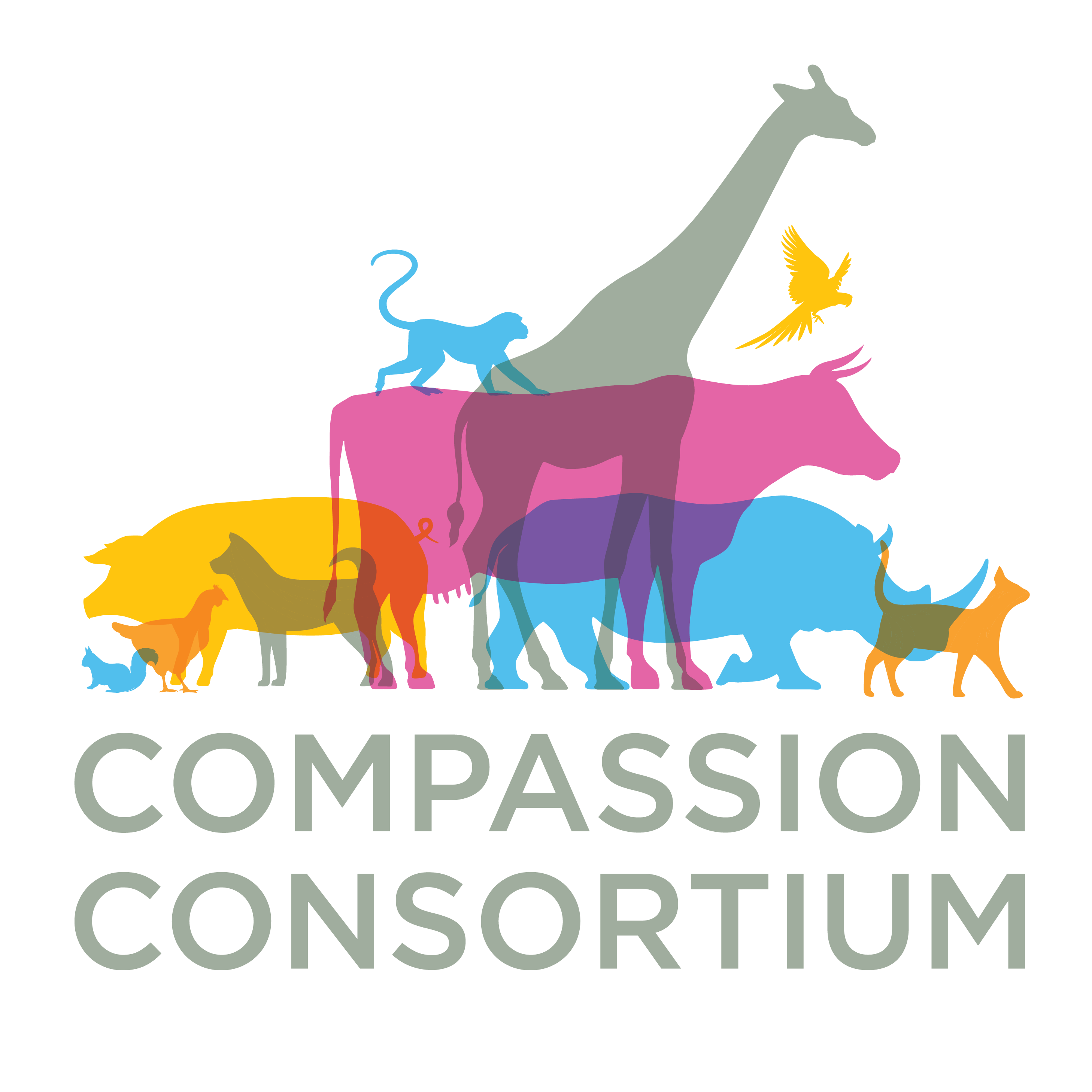 compassion consortium