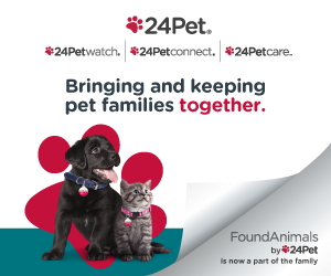 24Pet bringing and keeping pet families together