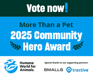 vote now for more than a pet community heroes