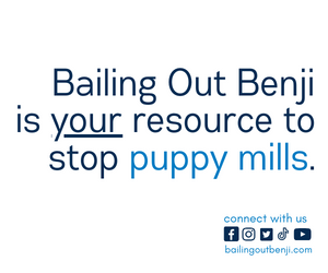 bailing out benji is your resource to stop puppy mills