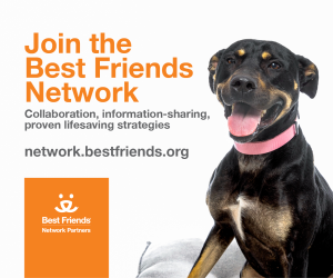 join the best friends network