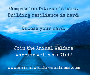 Join the animal welfare warrior wellness club