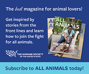 Subscribe to All Animals magazine today!