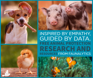 free animal protection research and resources from faunalytics