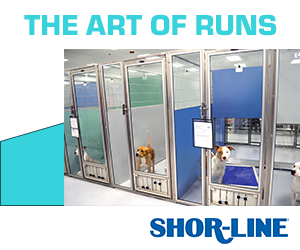 quality kennel runs from shor-line