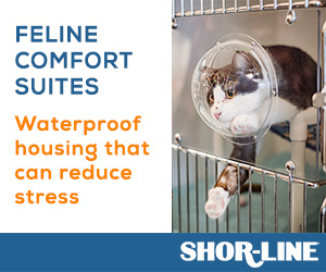 feline comfort suites by shor-line