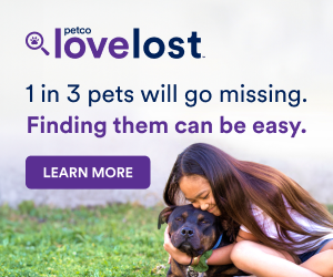 Petco love lost one in three pets will go missing but finding them can be easy