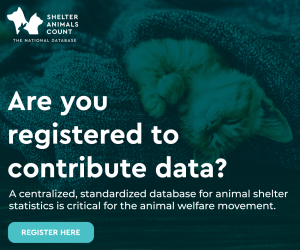 Contribute data to Shelter Animals Count