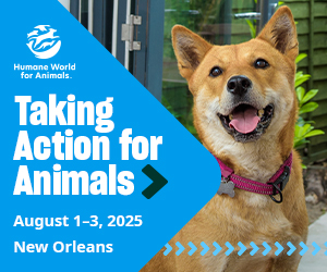 taking action for animals
