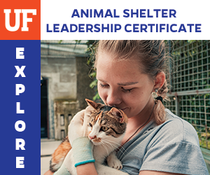 University of Florida Shelter Medicine animal shelter leadership certificate