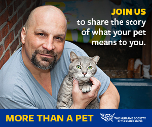 join us to share the story of what your pet means to you