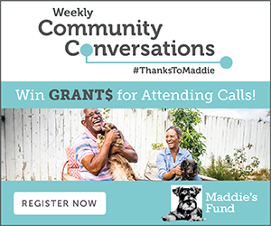 Weekly community conversations with Maddie's Fund