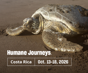 Humane Journeys Costa Rica