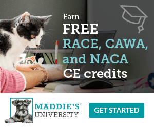 earn free continuing education credits with maddies university