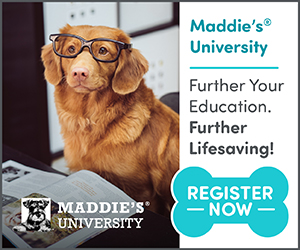 Maddie's University