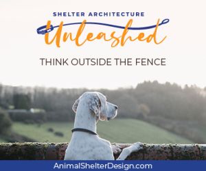Shelter Architecture Unleashed