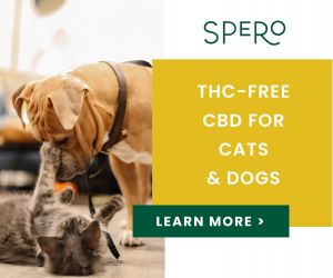 Spero THC-Free CBD for cats and dogs