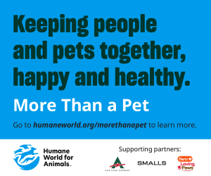 More Than A Pet