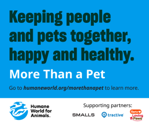 More Than A Pet