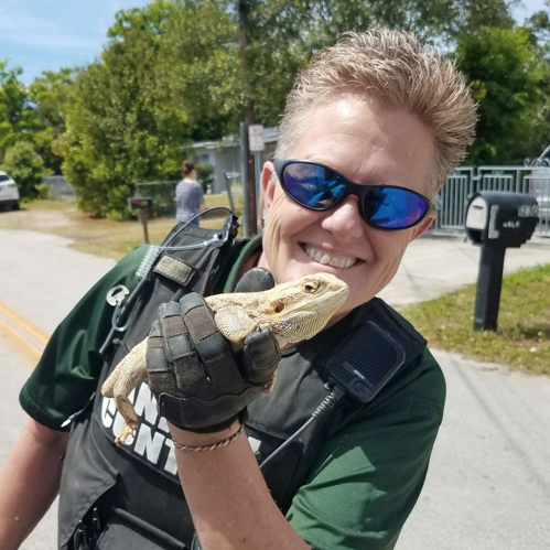 an animal control officer holds up a lizard