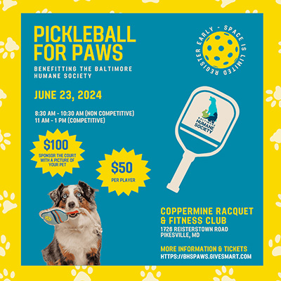 graphic advertising a pickleball fundraiser