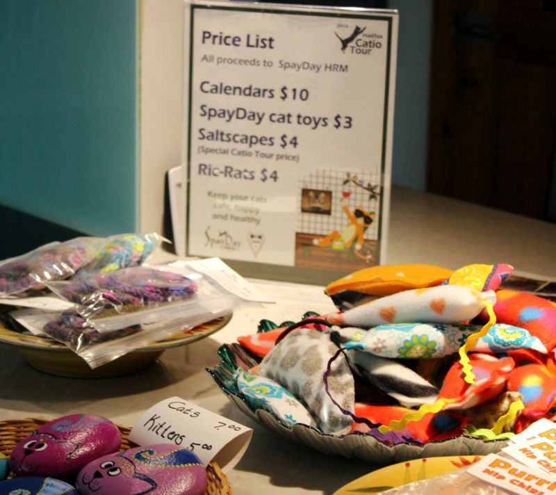 Photo of calendars and cat toys available for sale to raise money for local spay/neuter programs.