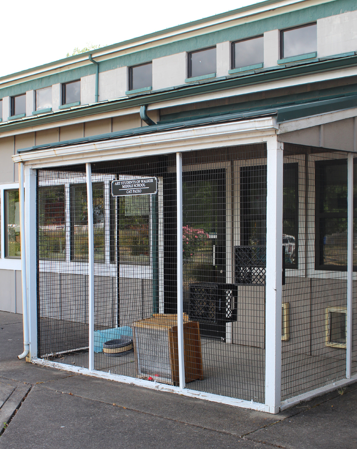 Photo of a catio at the Willamette Humane Society.