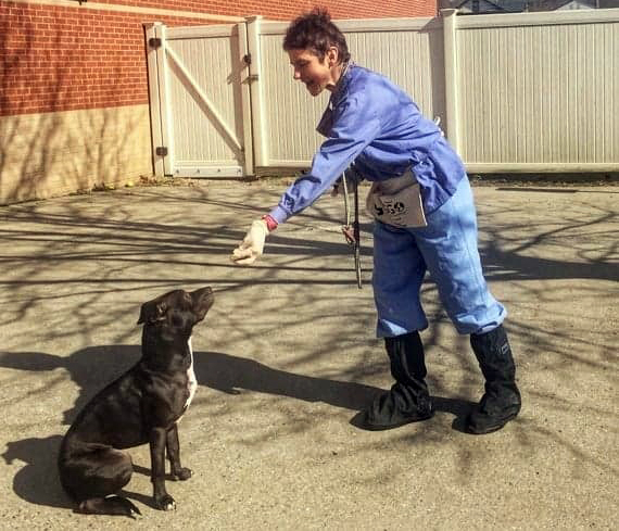 A woman in PPE extends a treat to sitting dog