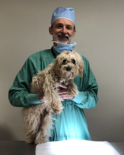 Dr. Popa in surgical dress holding a dog who was his 200,000th spay/neuter surgery.