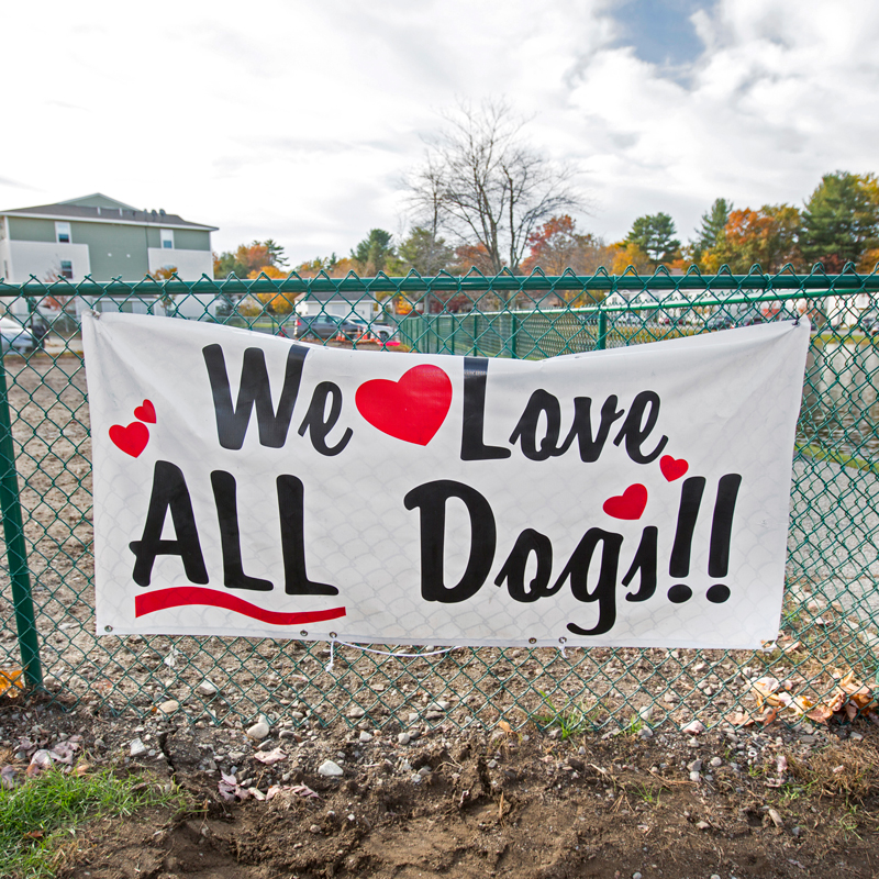 a sign hanging on a fence that says we love all dogs
