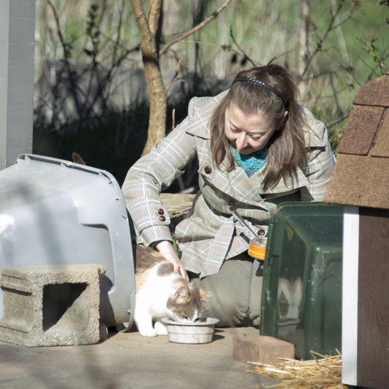 Woman feeding a community cat.