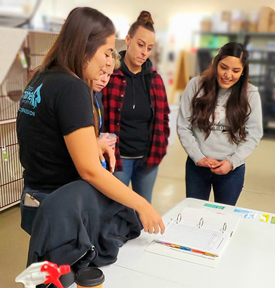 Photo showing a group of women during nursery training.