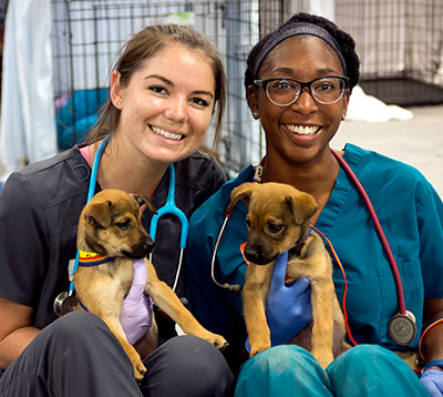 Two veterinary students hold puppies at a RAVS clinic.