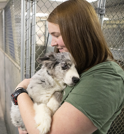 Woman holding a scared puppy in a kennel.