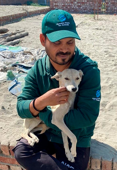 a man poses with a dog on a beach