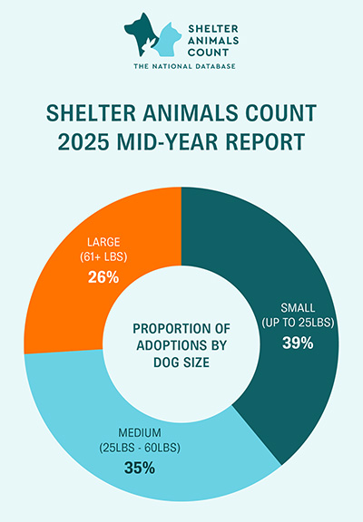 a pie chart of a mid-year report on dog sizes