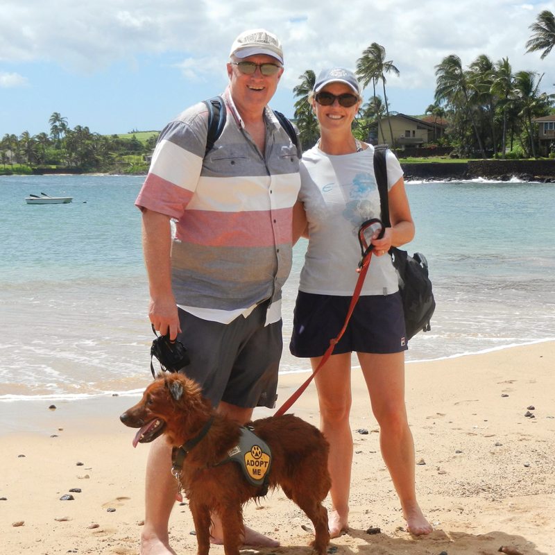 a couple and dog on a beach