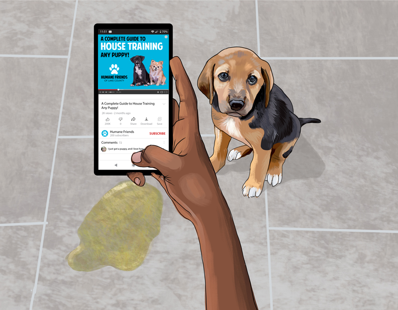 Illustration of a woman looking up house training on her phone while her puppy looks on