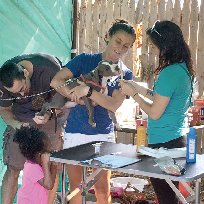 two women distract a puppy while a man clips its nails