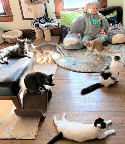 A girl sitting on the floor surrounded by 6 cats.