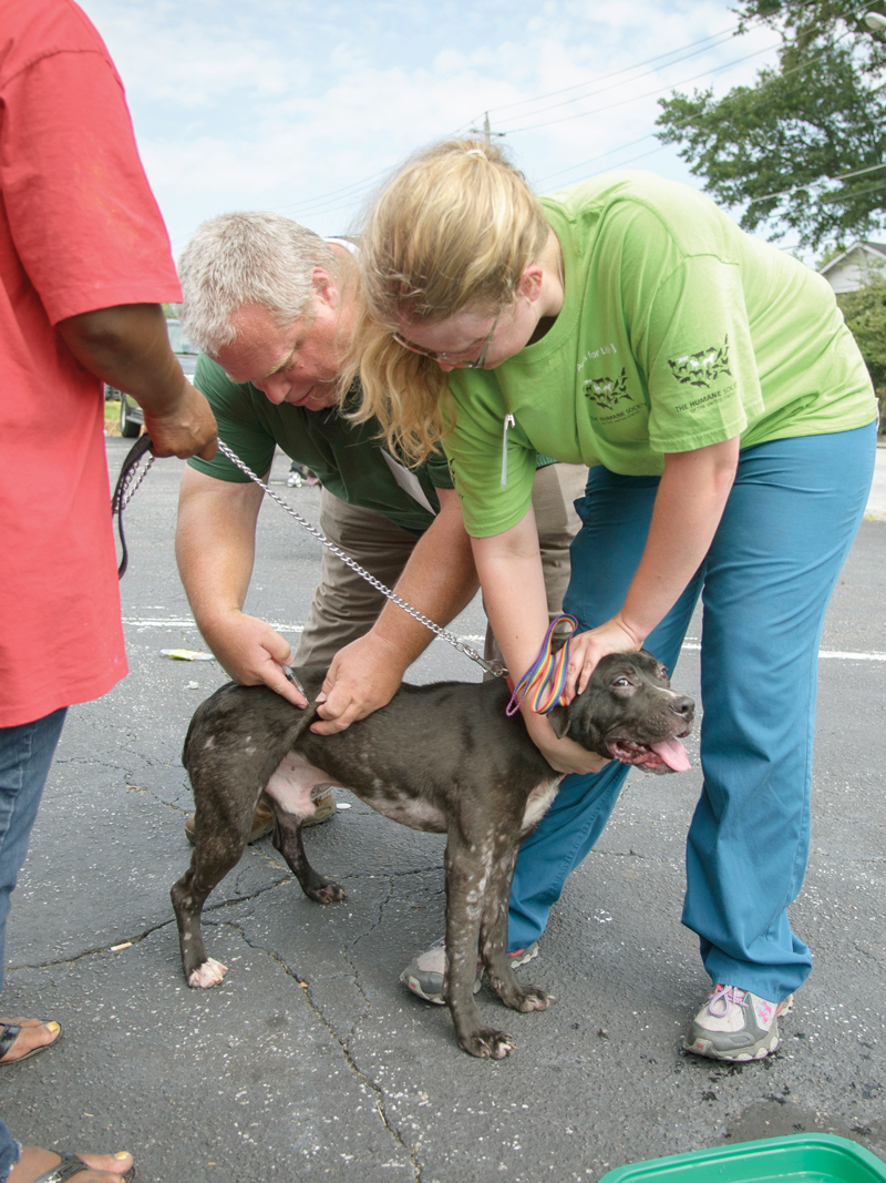 a woman holds a dog's head while a vet administers an injection