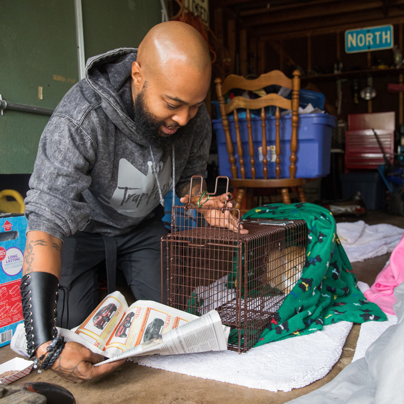 a man inserts newspaper into a cat trap