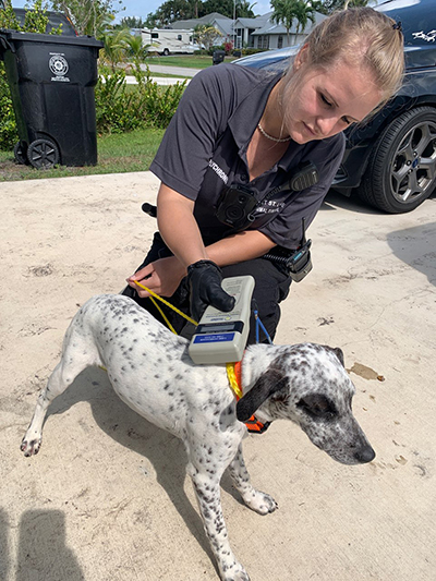 An animal control officer scans a lost dog for a microchip.