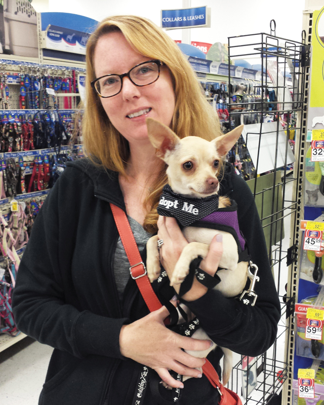 a woman holds a small dog wearing a harness that says Adopt Me