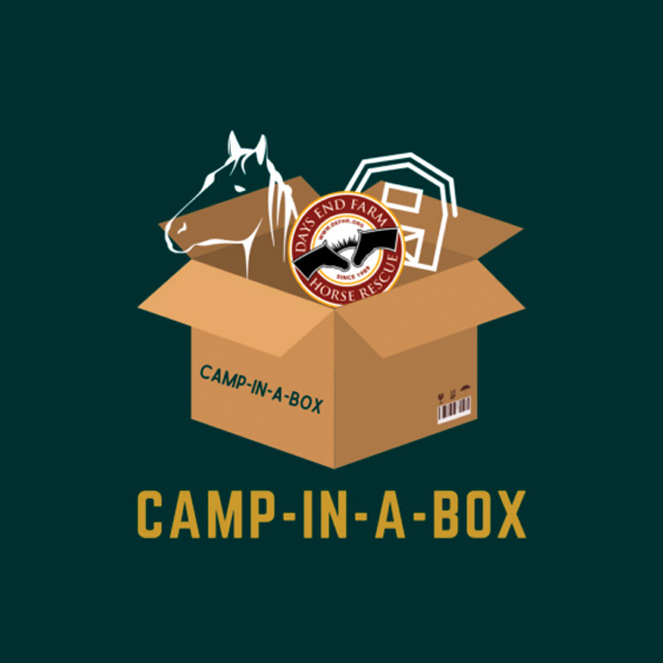 Camp-in-a-box logo